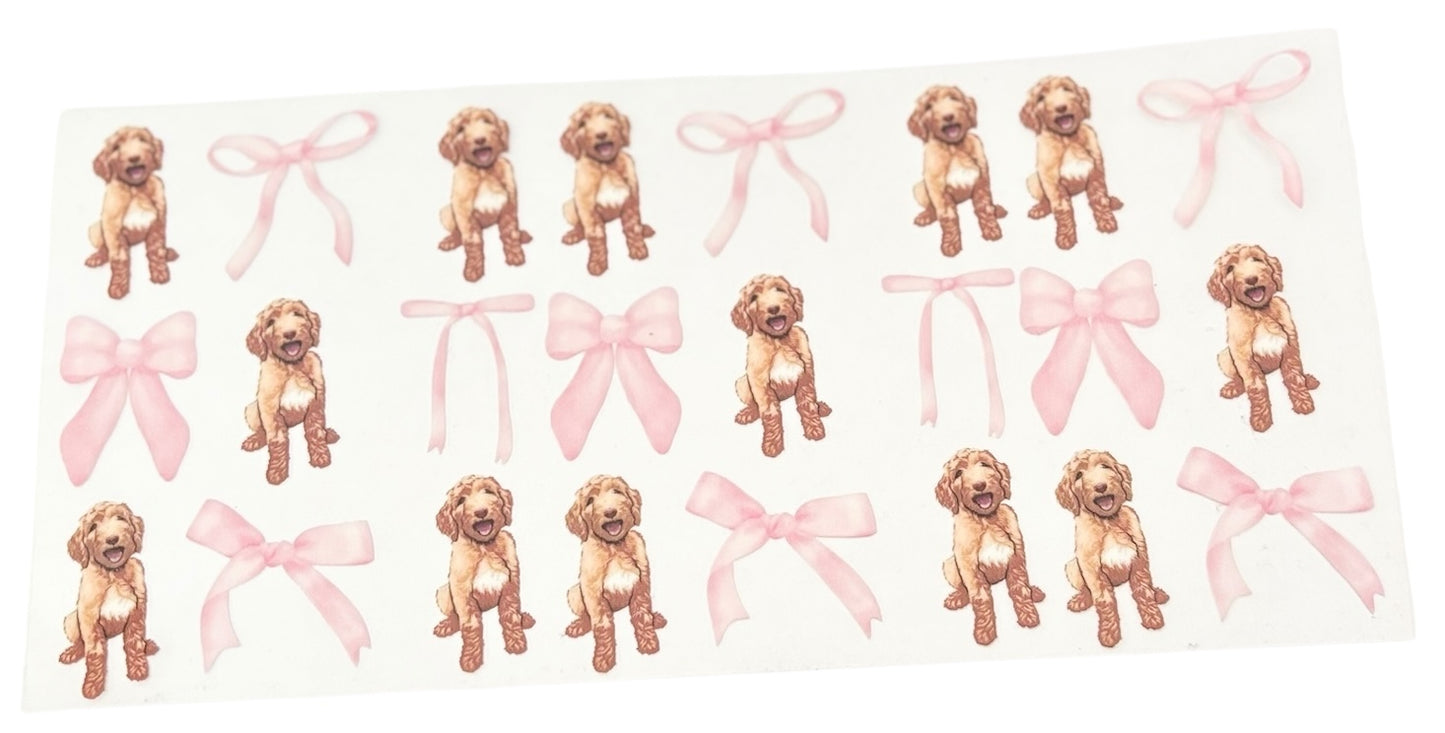 #11034 Golden Doodle