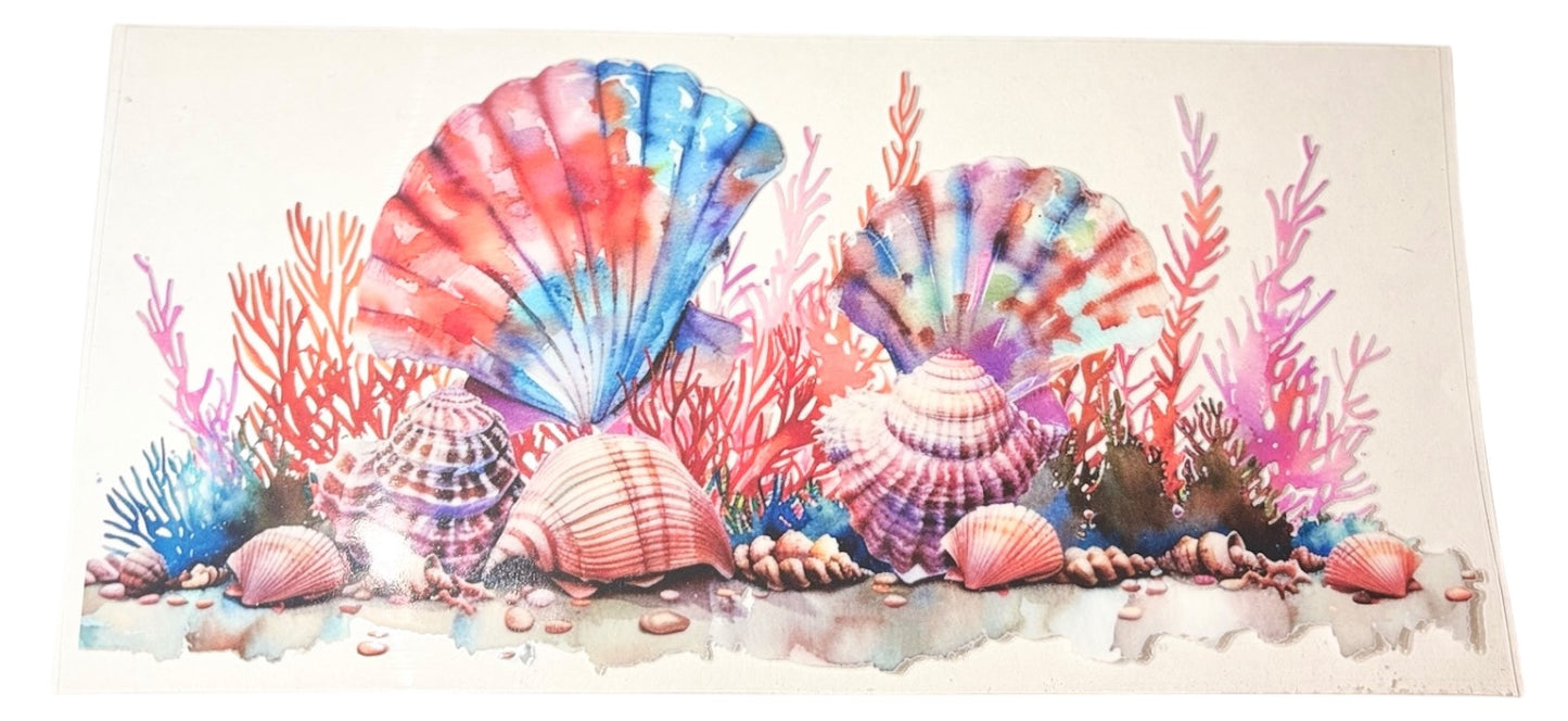 #20048 Shells 16oz-20oz