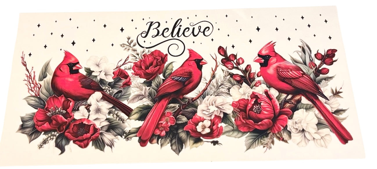 #11032 Cardinals 16oz-20oz