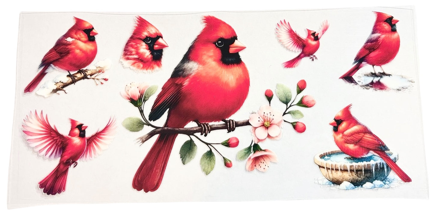 #11036 Cardinal