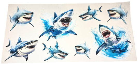 #11019 Shark 16oz-24oz