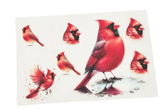 #4005 Cardinal