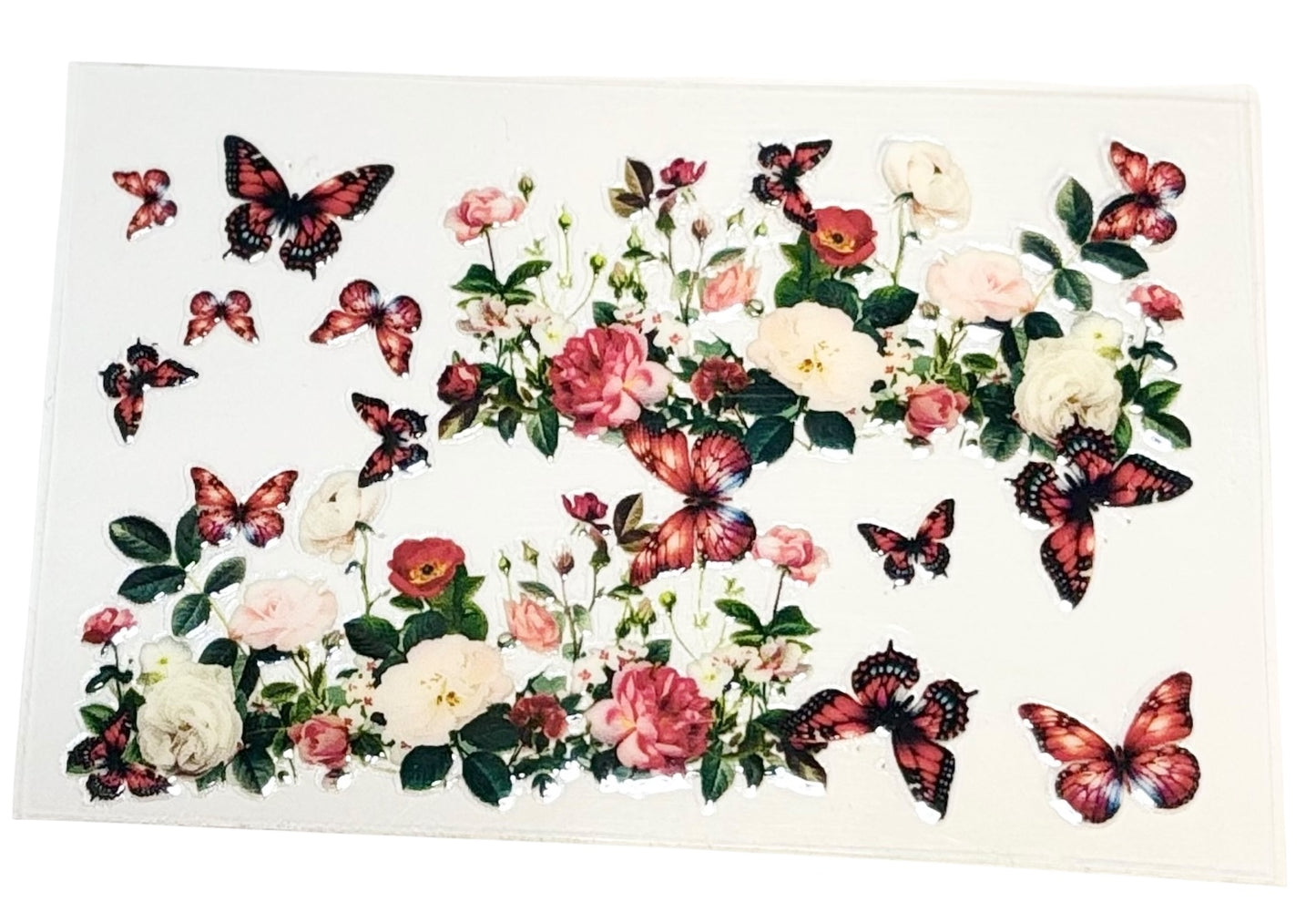 CW10027 Butterflies & Flowers